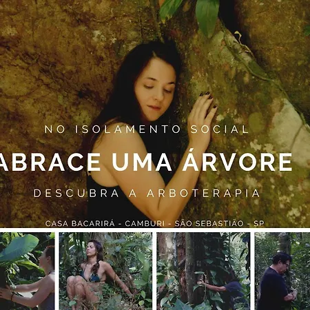 Casa Bacarirá - Floresta com Yoga e Café da Manhã Vegano-3